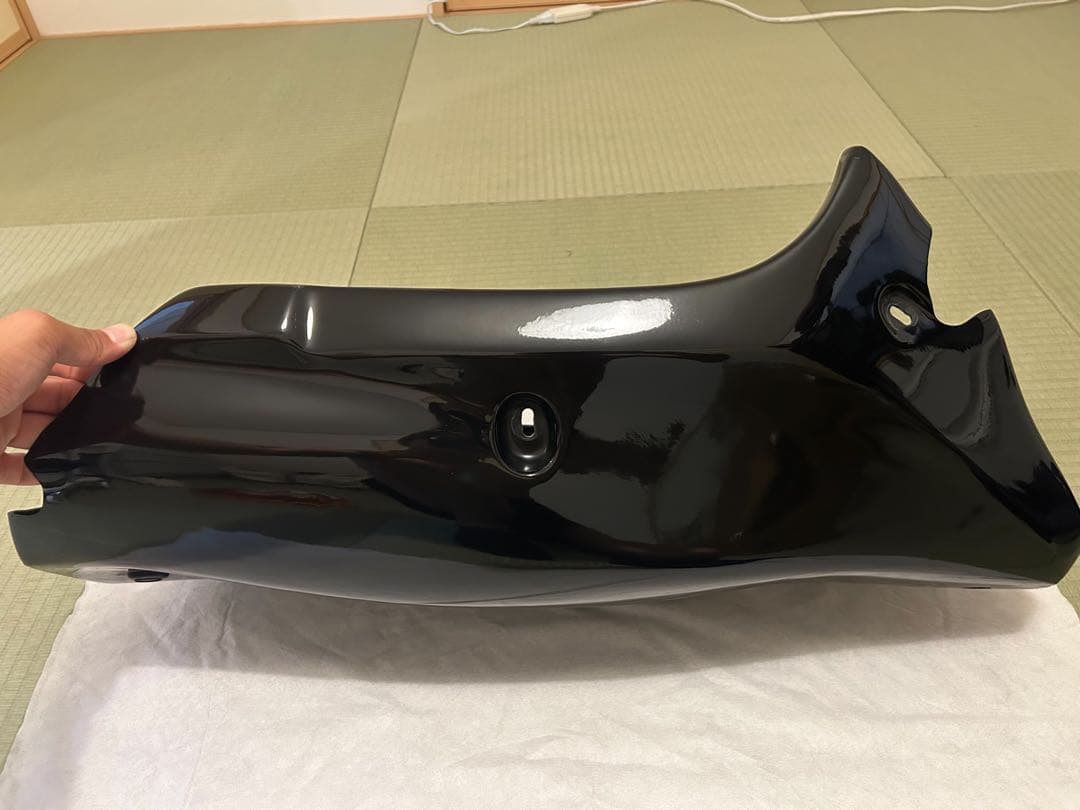 ZRX1200 ダエグ アンダーカウル