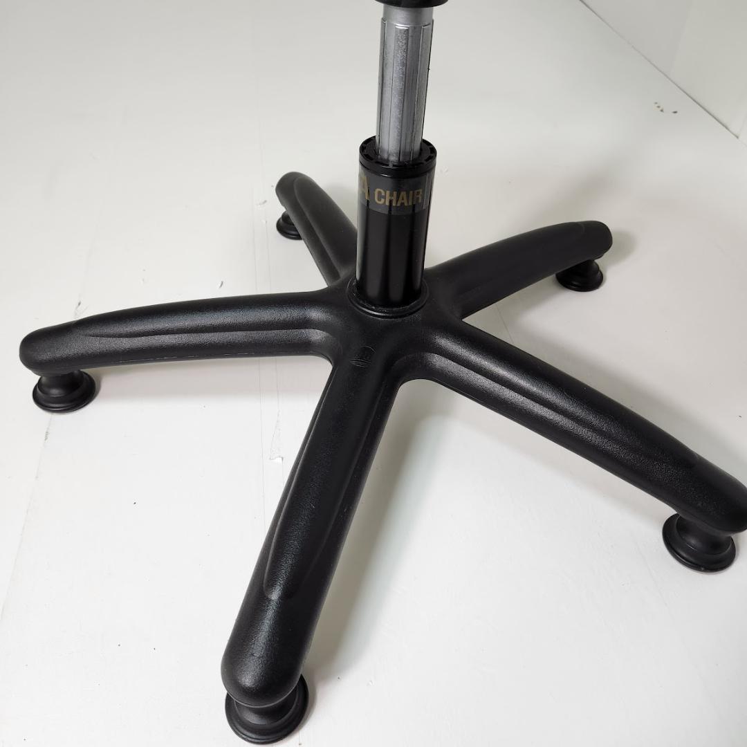 HUSLA 腰痛予防トレーニングチェア 骨盤矯正 バランスチェア ホスラ