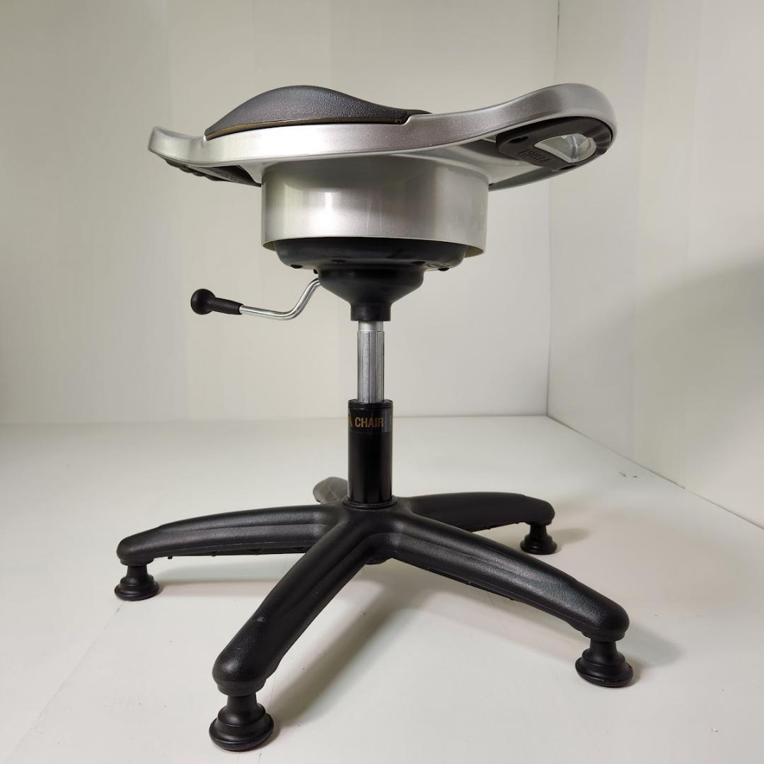 HUSLA 腰痛予防トレーニングチェア 骨盤矯正 バランスチェア ホスラ