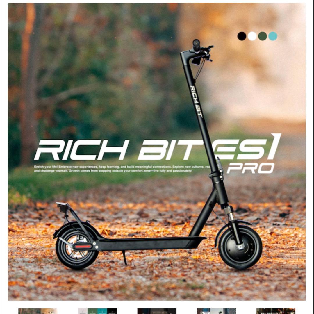 リッチビット　es1Pro RICHBIT ES1 Pro