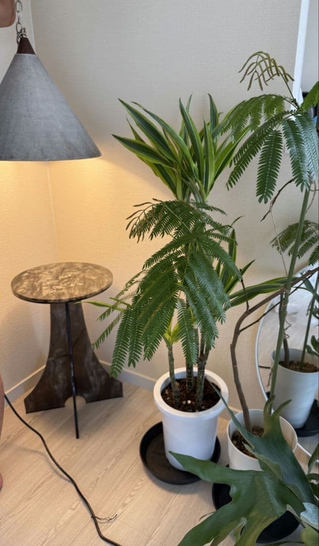 インダストリアル　ペンダントライト　ヴィンテージ