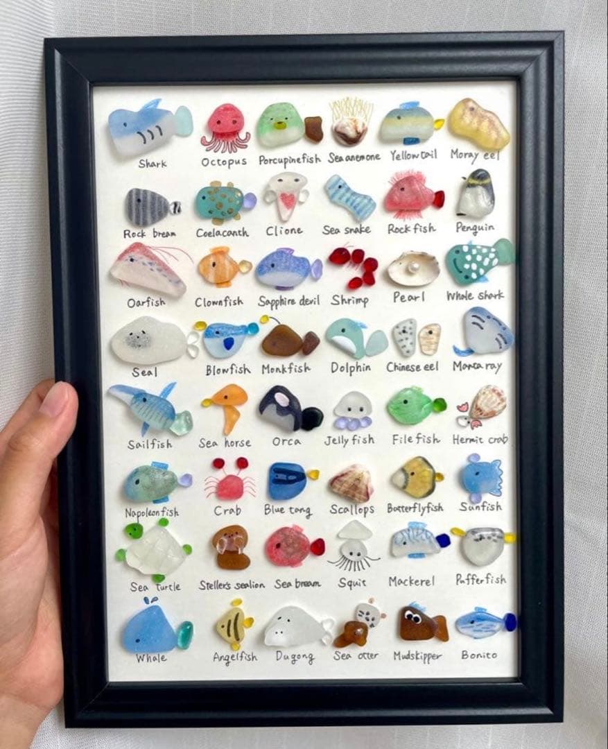 48種の海のいきもの図鑑No.445⭐︎プレゼント　ジンベイザメ　シャチ　くじら