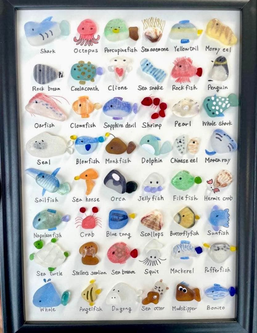 48種の海のいきもの図鑑No.445⭐︎プレゼント　ジンベイザメ　シャチ　くじら