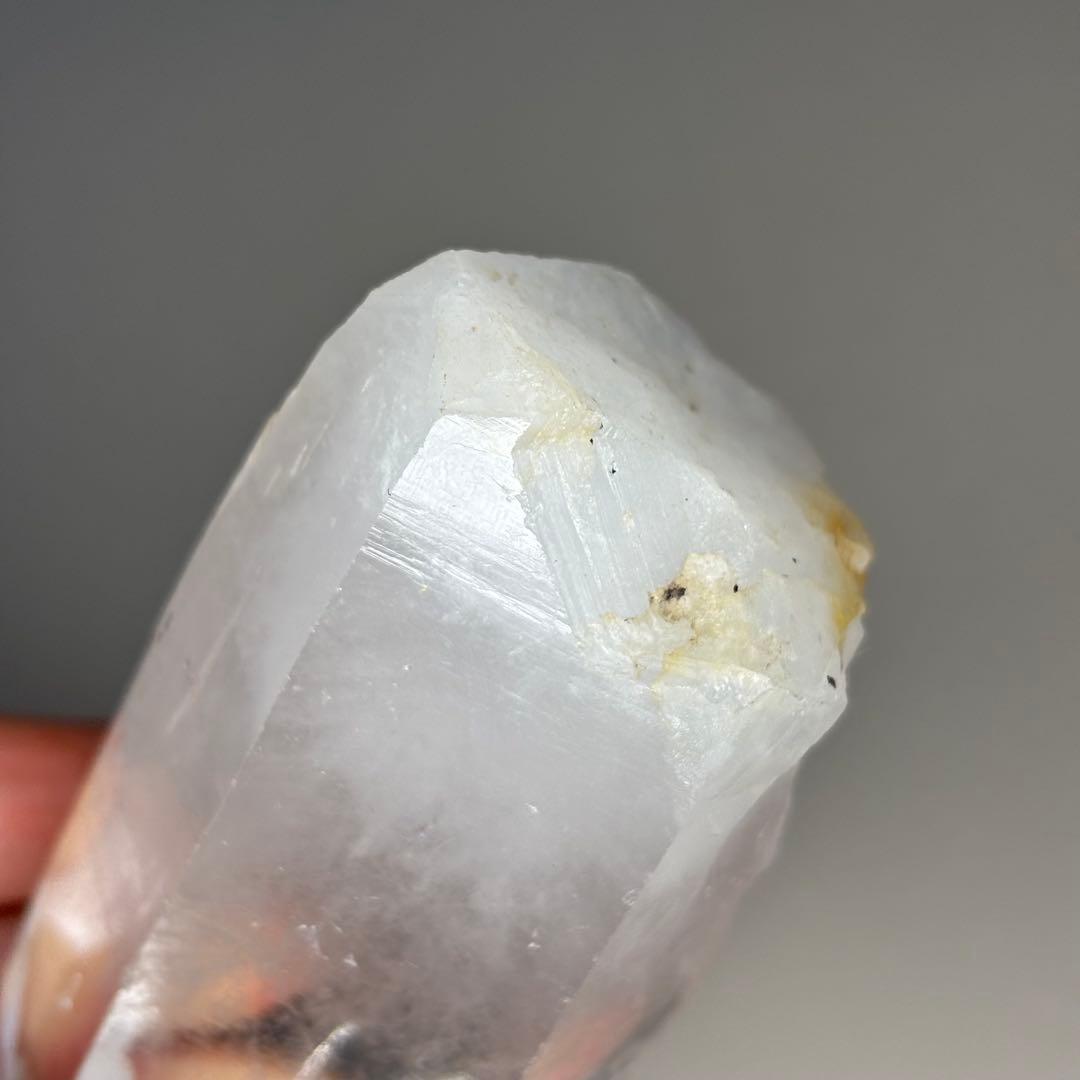 ブラジル産 レムリアンシード 288g