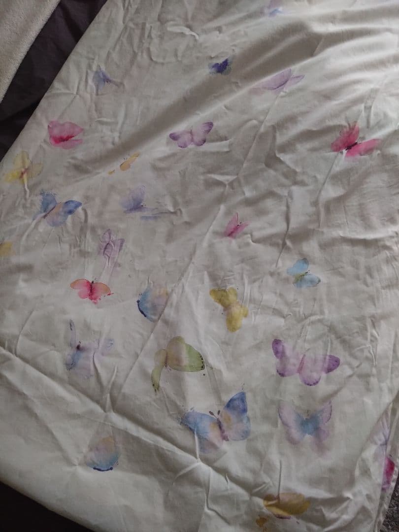 ベッテンスタジオ　寝具　JERSEY COVER【Celebraion】