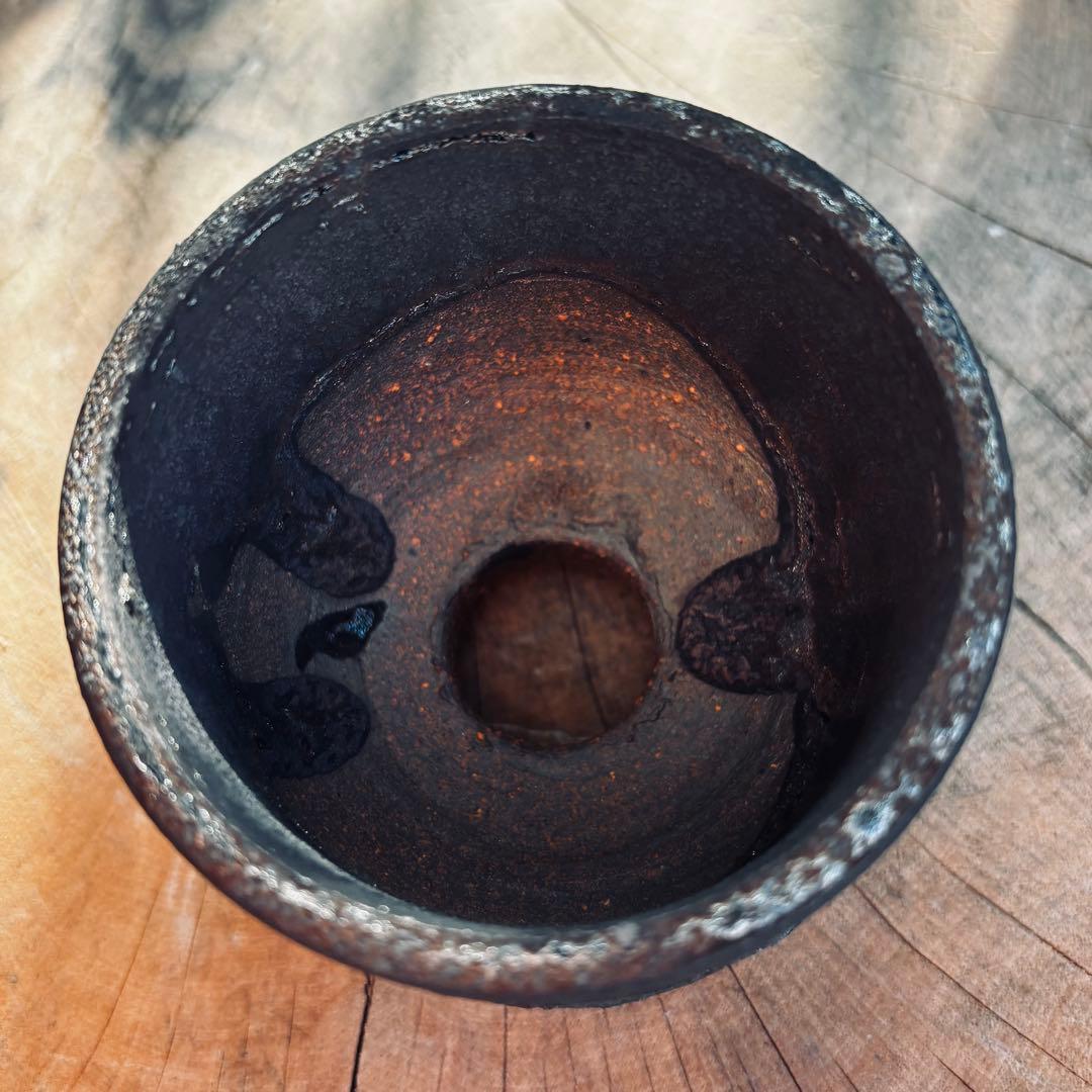 新品未使用 加藤裕章 作家鉢 植木鉢 アガベ パキプス グラキリス 塊根 y鉢2