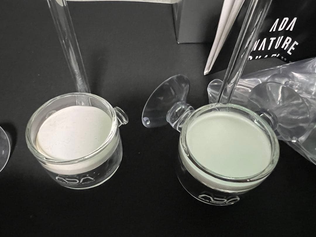 b*様 ADA アクアデザインアマノ　パレングラスビートル