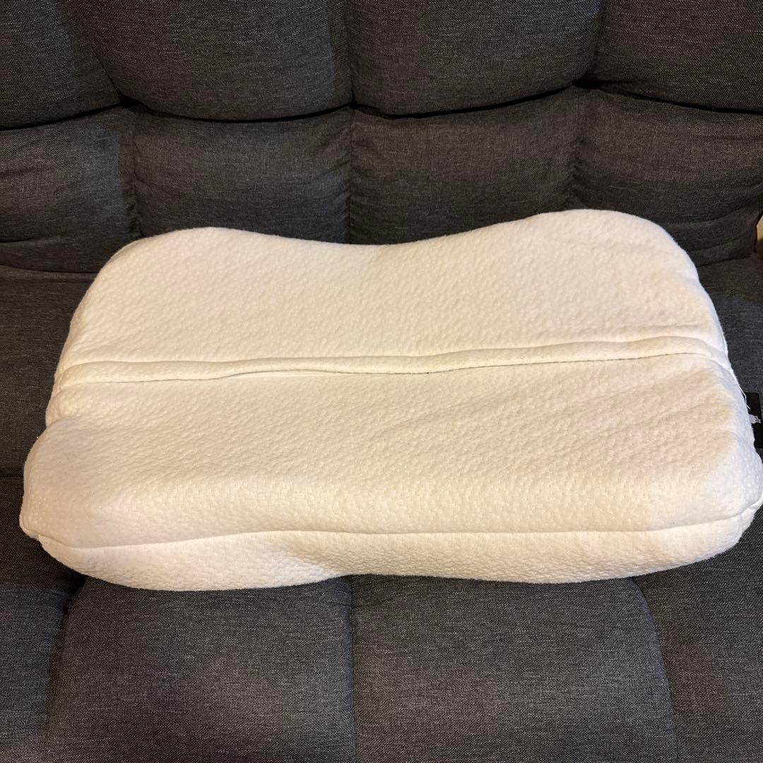 ヒツジのいらない枕　BIGサイズモデル (極柔) テンセル枕カバー付き