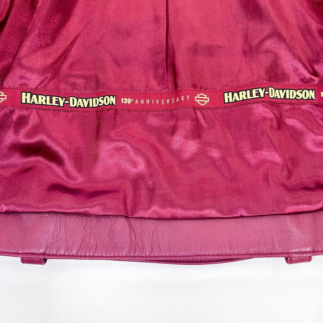 【状態S】 120周年記念 ハーレーダビットソン ダブル レザージャケット M