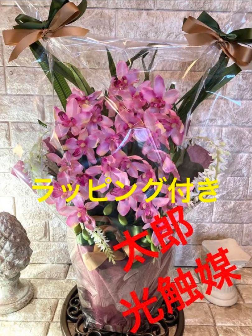 光触媒　人工観葉植物　ウォールグリーン　フェイクグリーン　シンピジューム6765