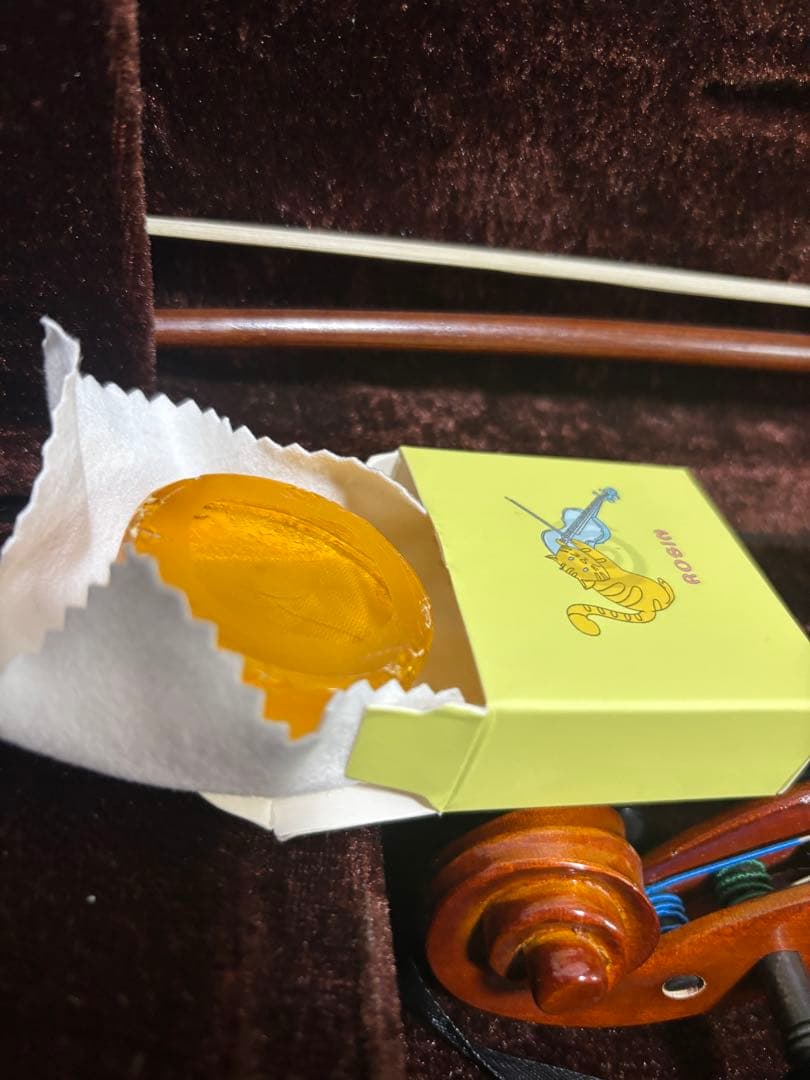 極美品✨ カルロジョダーノ VS-1 1/8 2015 分数バイオリン 弦楽器