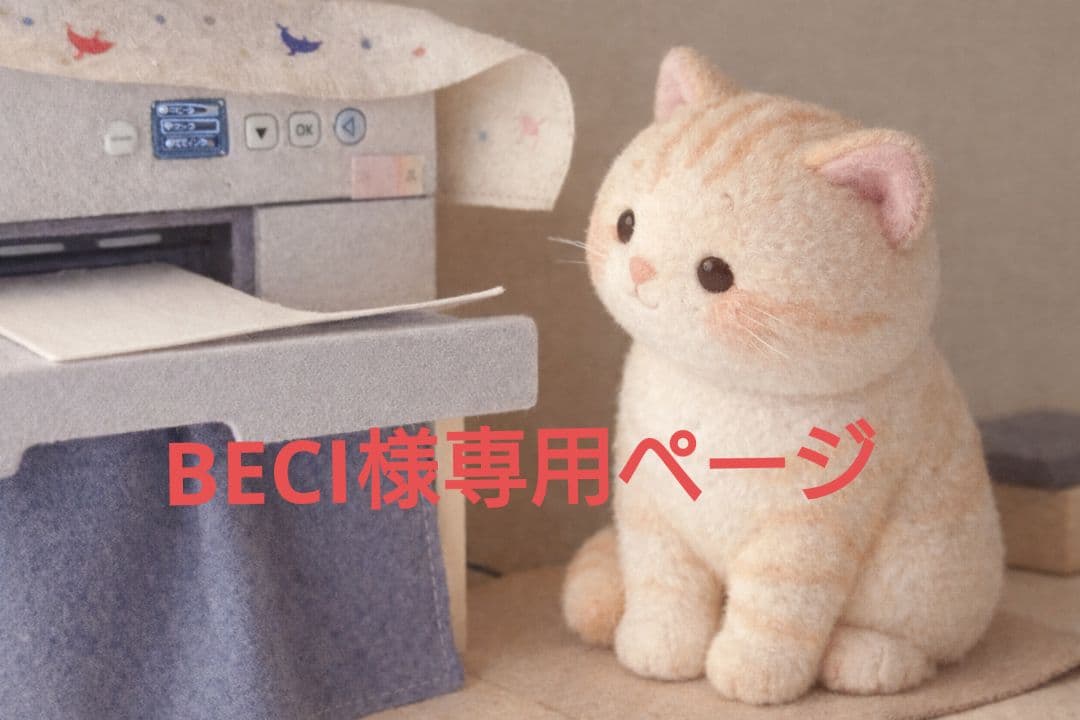 その他 BECI