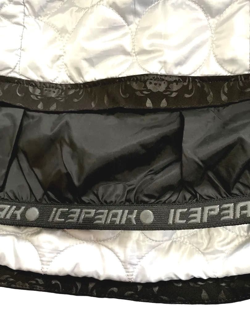 美品！ICE PEAK スキージャケット　レディース　Mサイズ