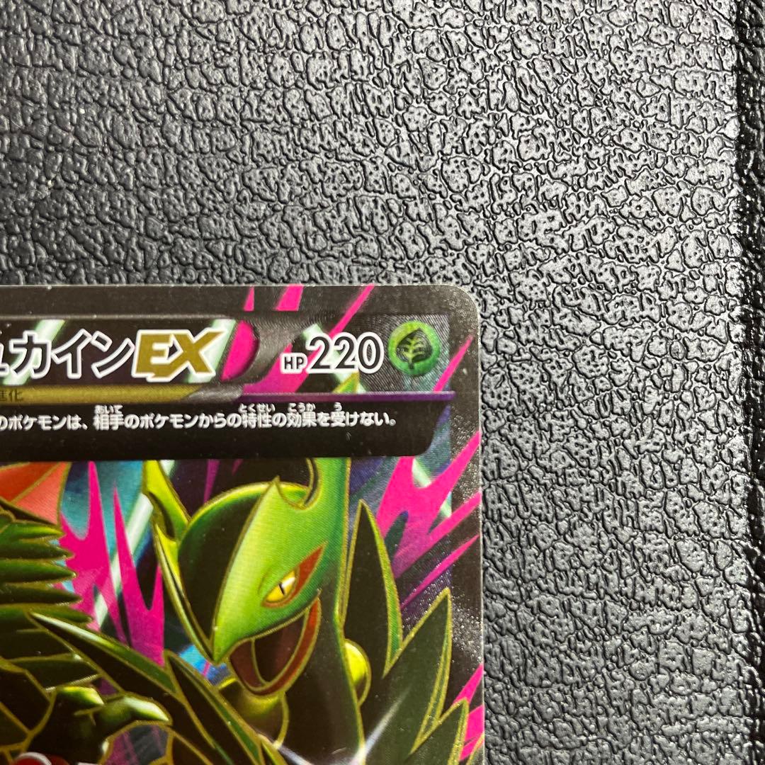 MジュカインEX SR 083／081 XY7