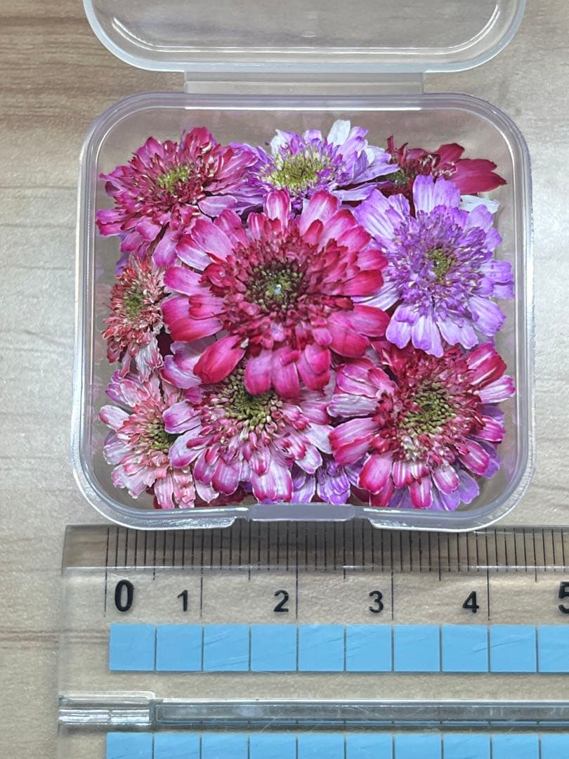 ハンドメイド　花材　ドライフラワー　マトリカリア　暖色系　20輪+α