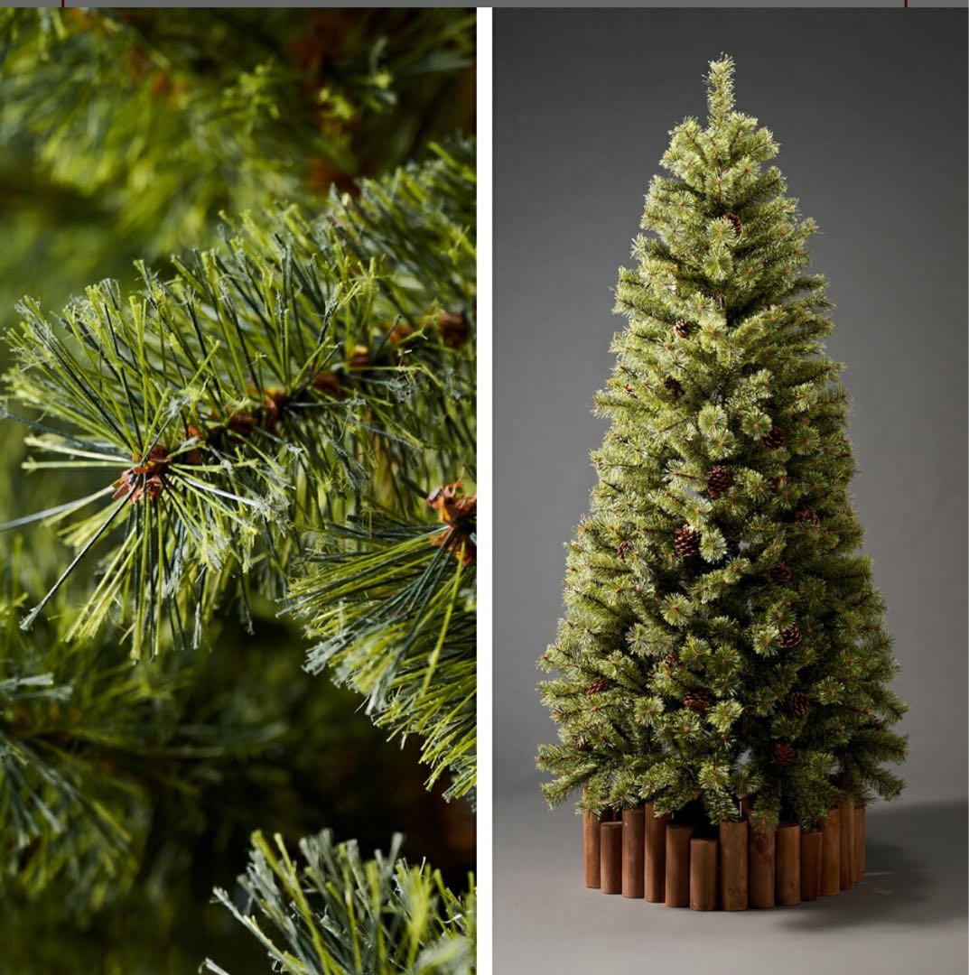 アルザスツリー150 2025ver.