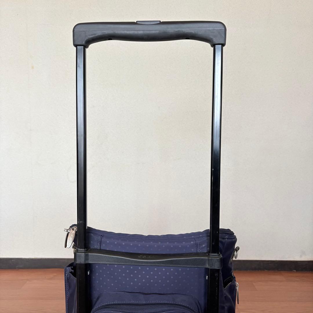 ショッピングカート キャリーカート　スワニー　swany