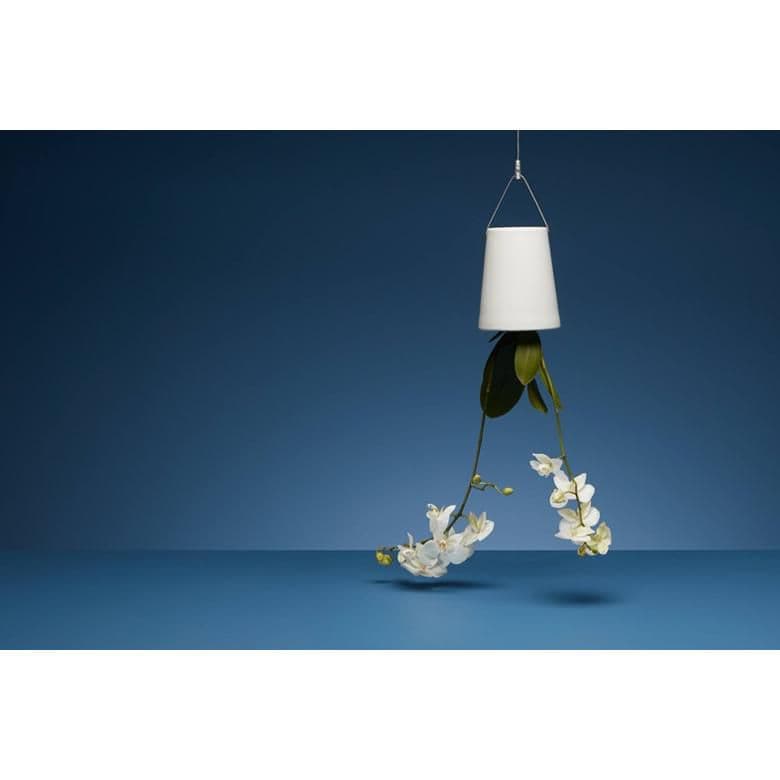 ボスケ　スカイプランター　クラシック