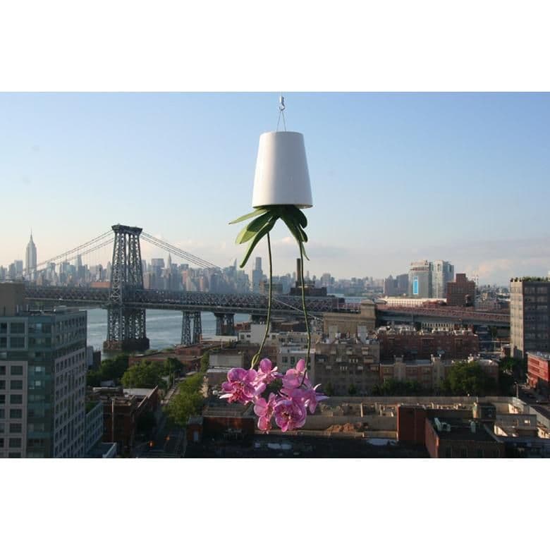 ボスケ　スカイプランター　クラシック