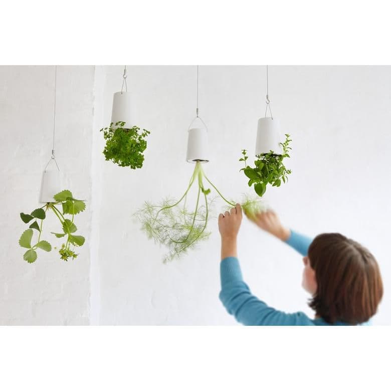 ボスケ　スカイプランター　クラシック