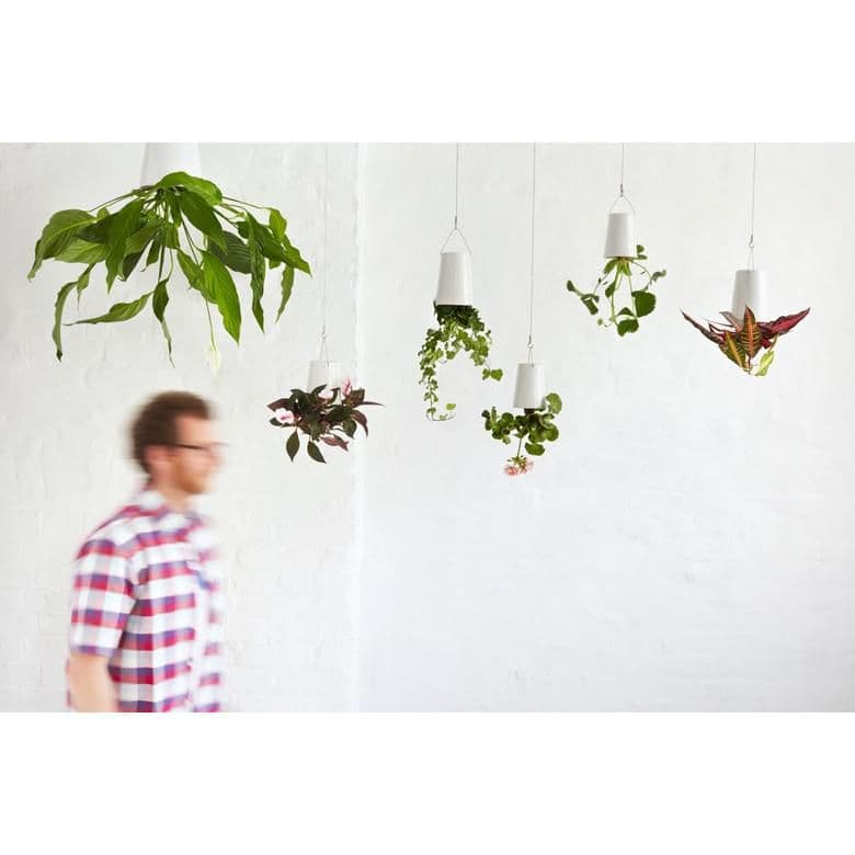 ボスケ　スカイプランター　クラシック