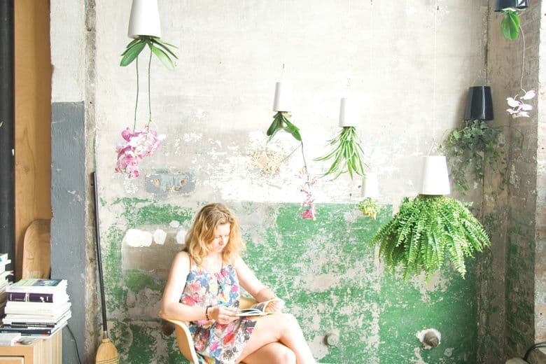 ボスケ　スカイプランター　クラシック