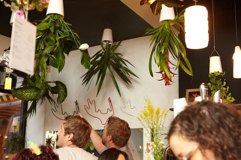 ボスケ　スカイプランター　クラシック