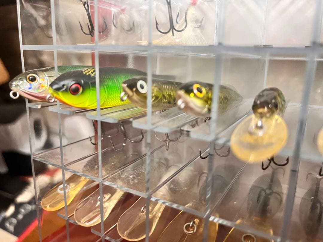 メガバス　アサイラム&ルアーセット