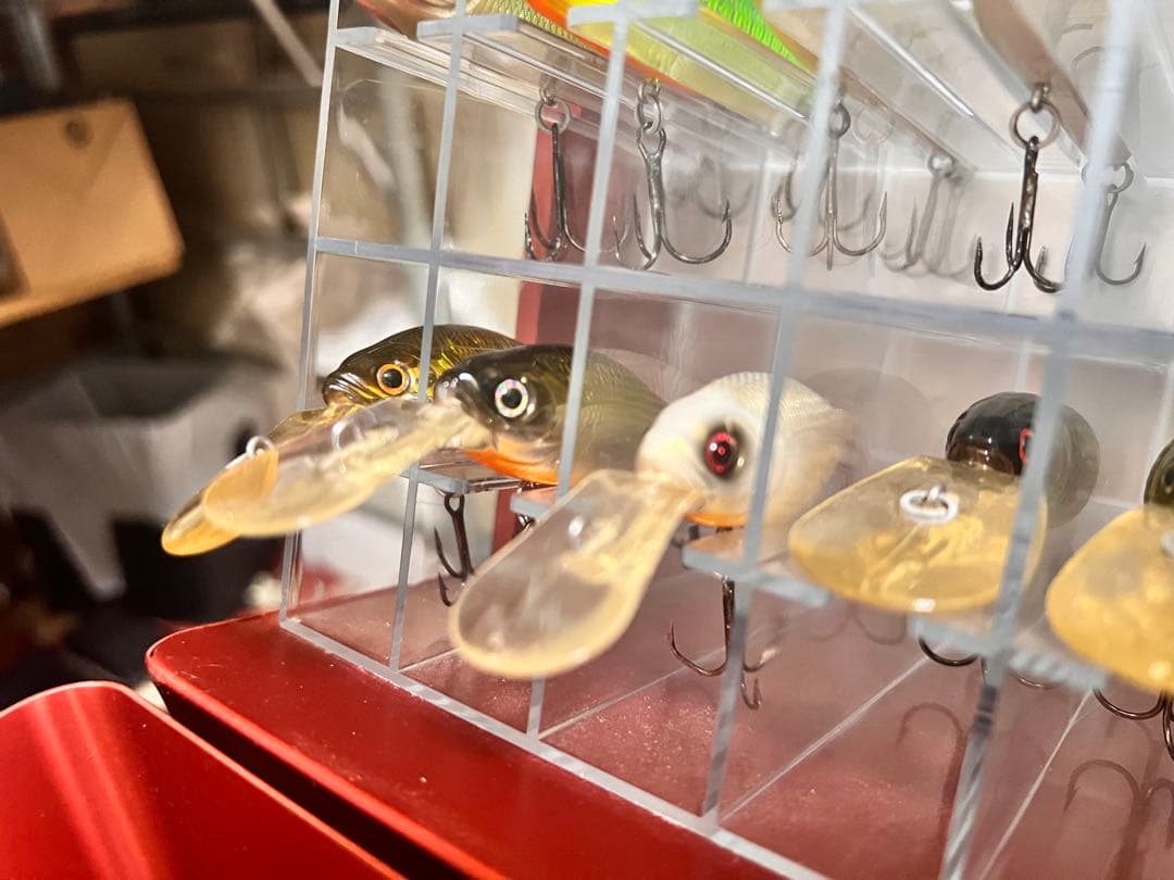 メガバス　アサイラム&ルアーセット