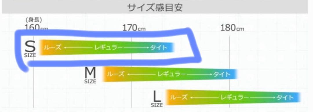 VOLCOM ボルコム　L GORE-TEX　エル　ゴアテックス　スノボ　BRD