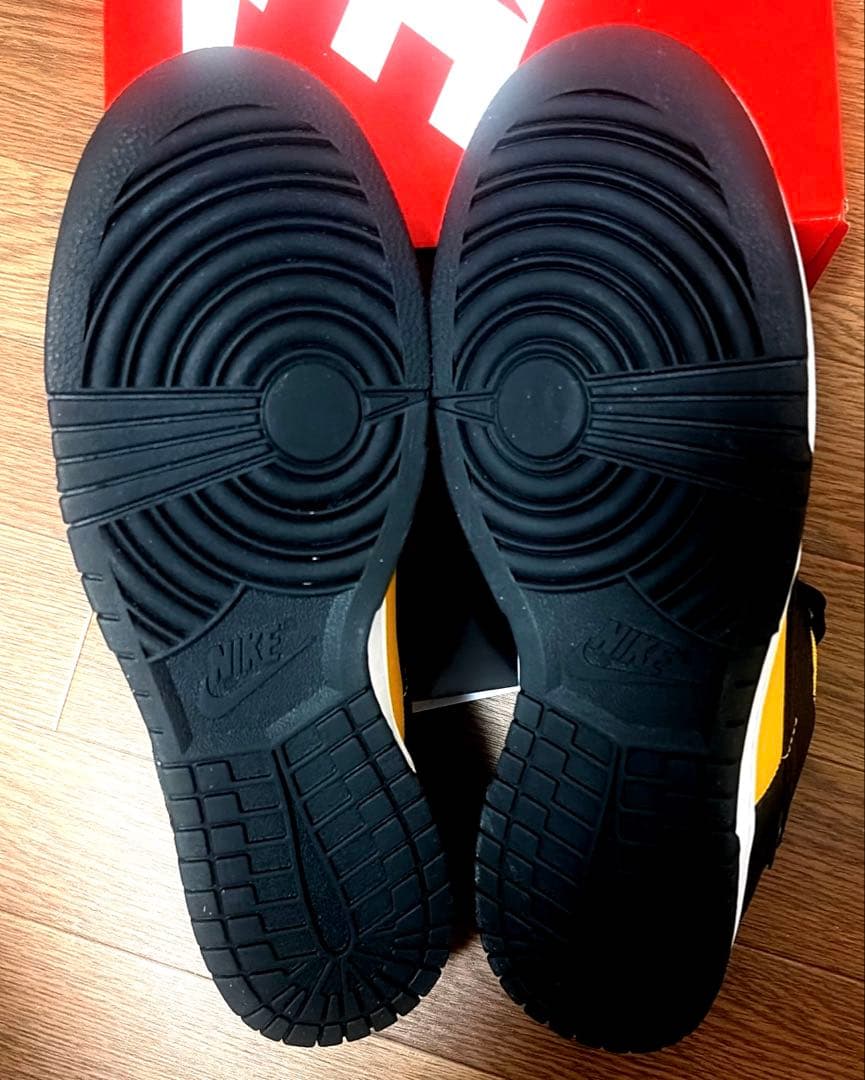 Nike Dunk Low FZ4618-001 28.5 新品　未使用品