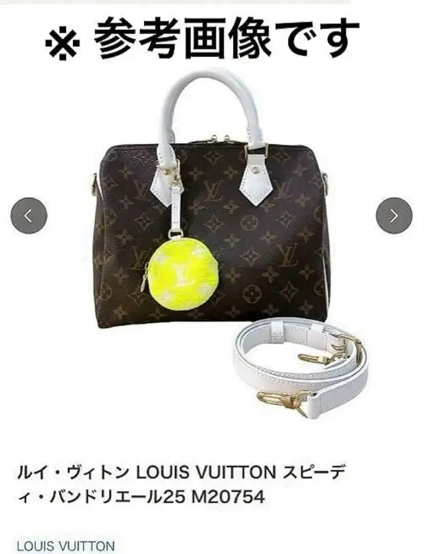 LOUIS VUITTON ルイヴィトン バッグチャーム ケース ポーチ
