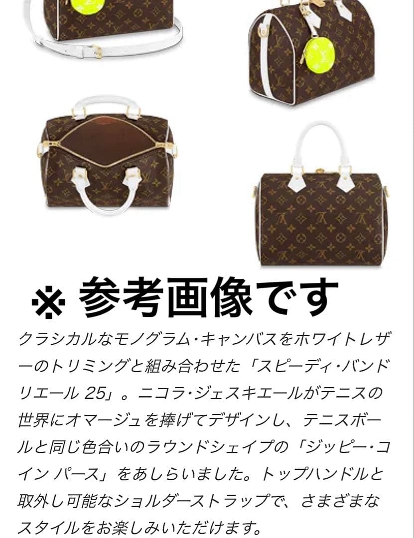 LOUIS VUITTON ルイヴィトン バッグチャーム ケース ポーチ