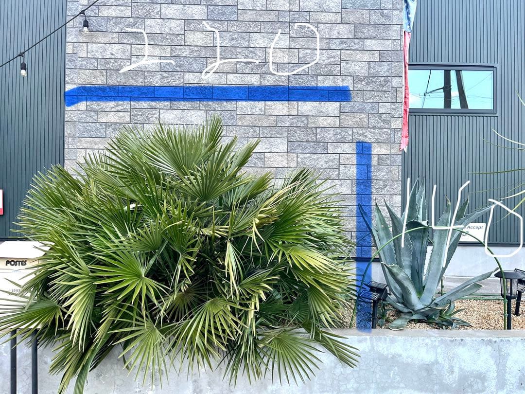 巨大チャメロップス　引き取り限定