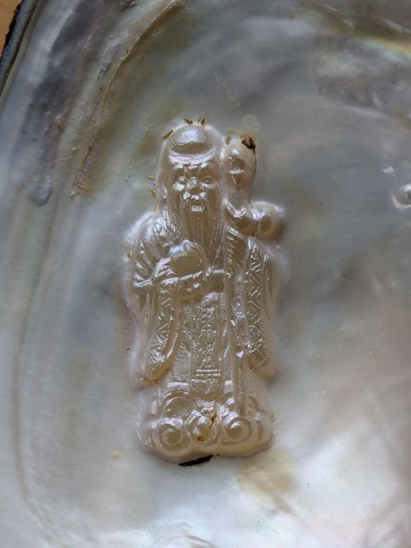 仏像真珠／淡水パール母貝 no.110