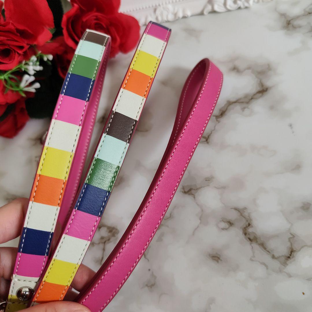 新品　COACH　コーチ　犬　リード　カラフル　レザー