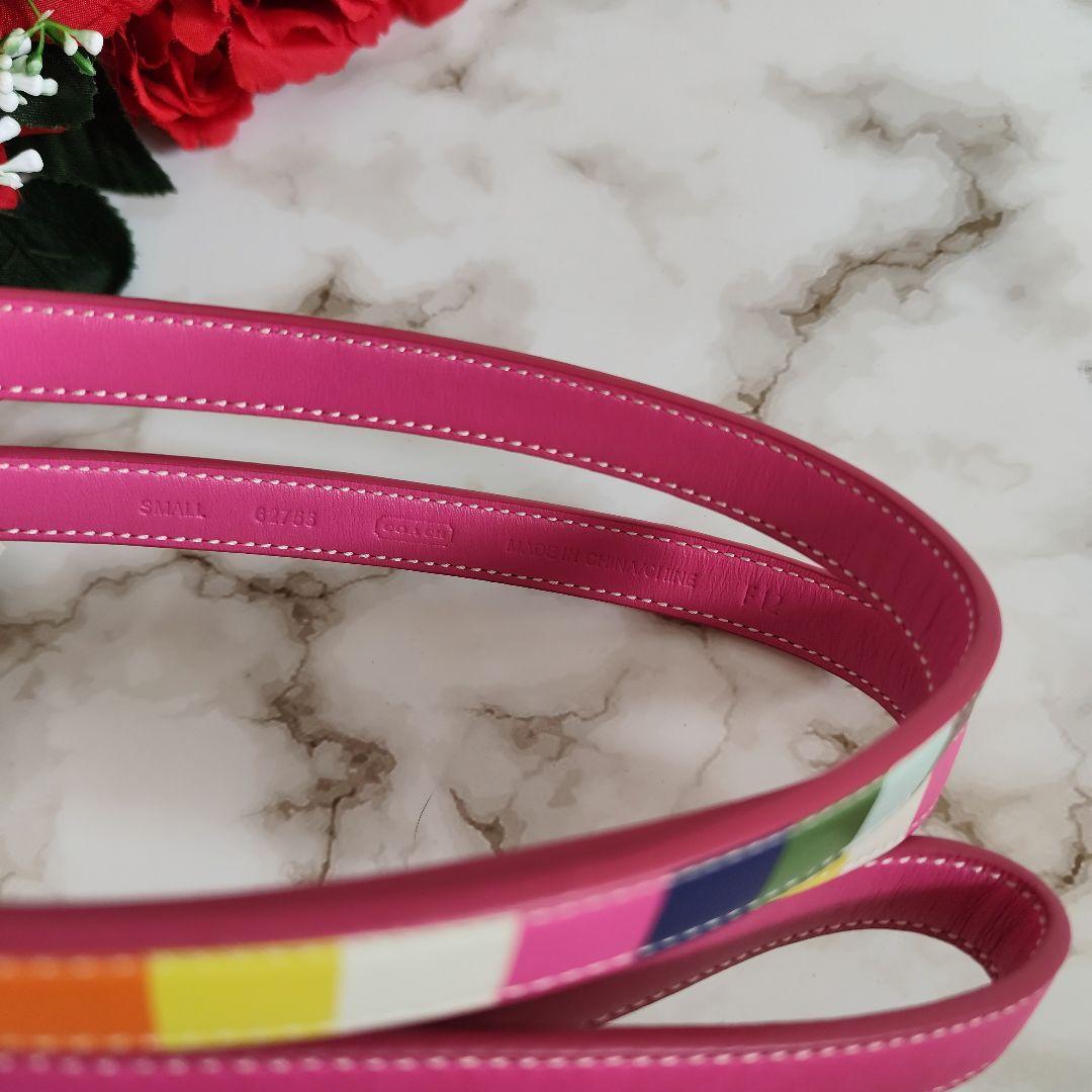 新品　COACH　コーチ　犬　リード　カラフル　レザー