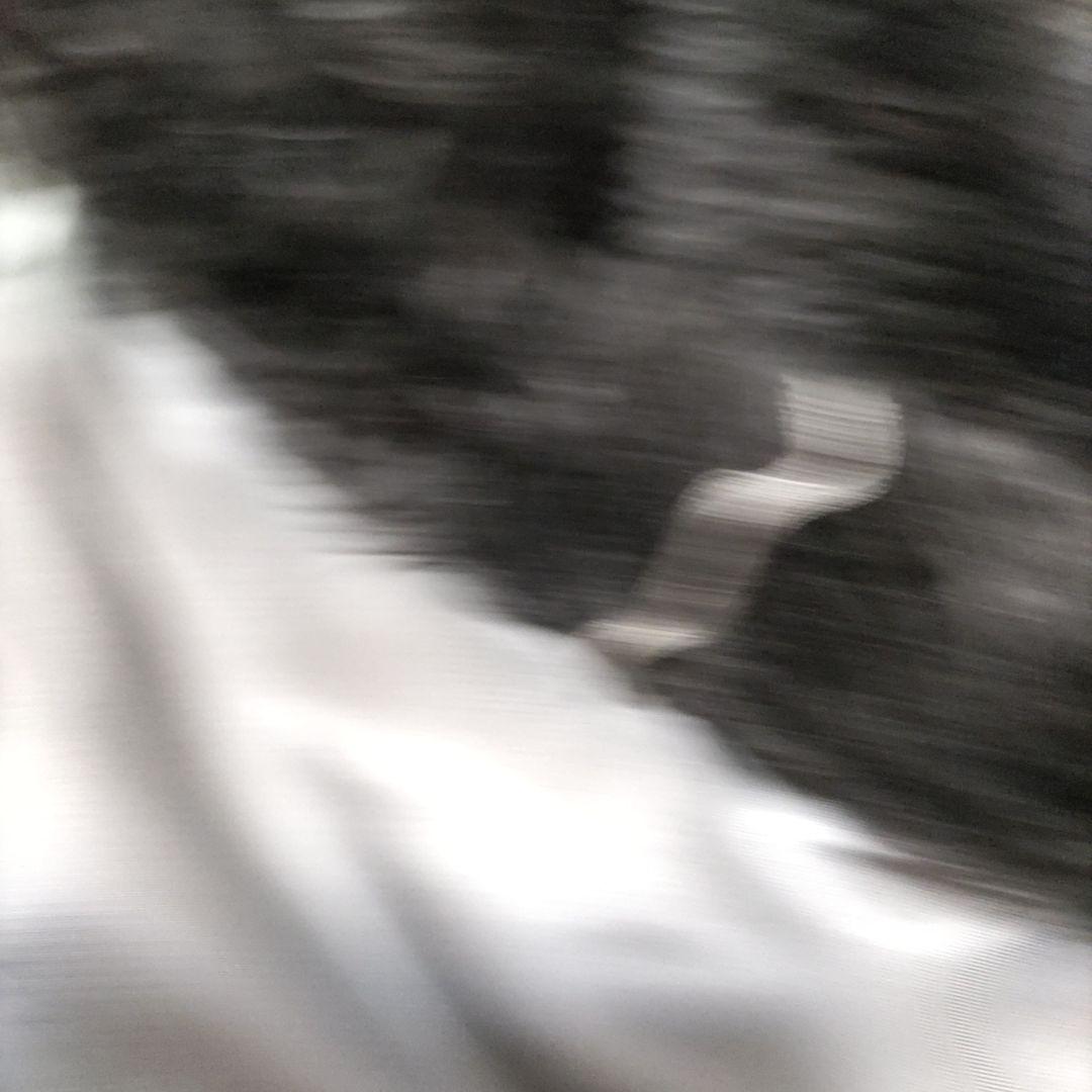 o*3様 ステューシーコラボアルファ社N-3B訳あり