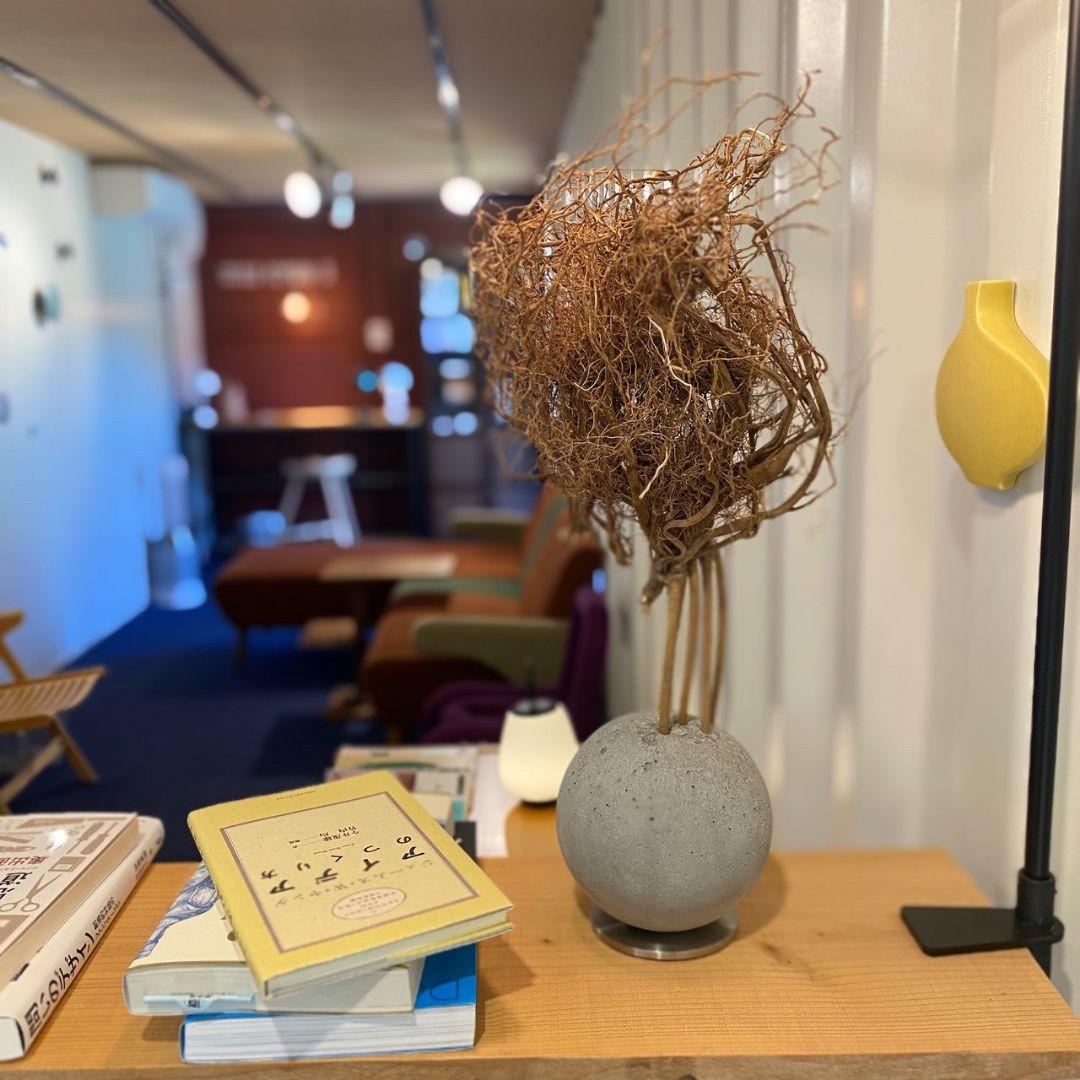 百貨店■2.7万円■観葉植物 オブジェ■KON by BULBOUS■MOTON