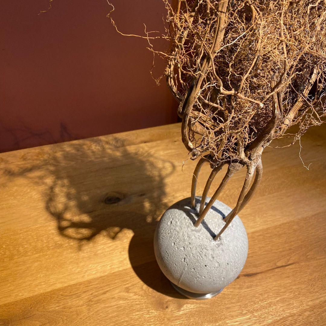 百貨店■2.7万円■観葉植物 オブジェ■KON by BULBOUS■MOTON