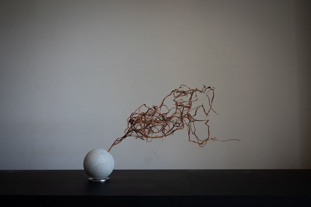 百貨店■2.7万円■観葉植物 オブジェ■KON by BULBOUS■MOTON