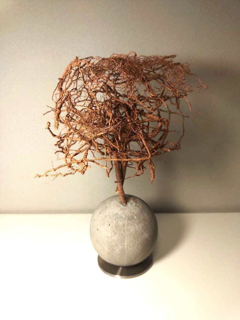 百貨店■2.7万円■観葉植物 オブジェ■KON by BULBOUS■MOTON