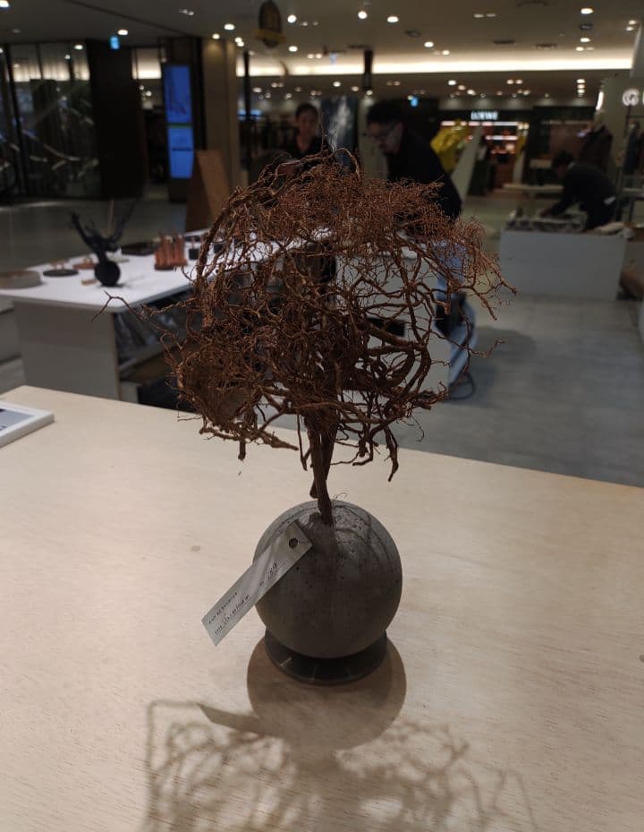 百貨店■2.7万円■観葉植物 オブジェ■KON by BULBOUS■MOTON