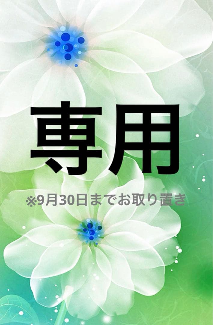 専用(あつ様)※9月30日までお取置き