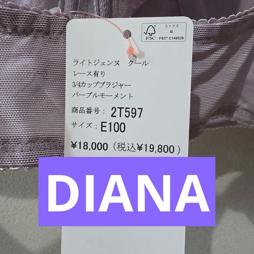 ダイアナライトジェンヌクール　パープル 3/４カップブラ　E1００タグ付き新品