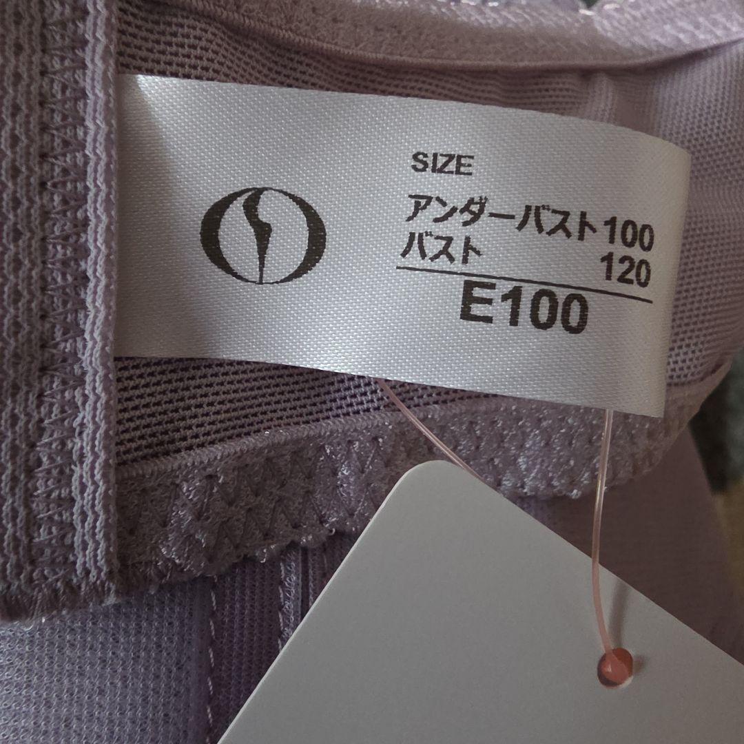 ダイアナライトジェンヌクール　パープル 3/４カップブラ　E1００タグ付き新品