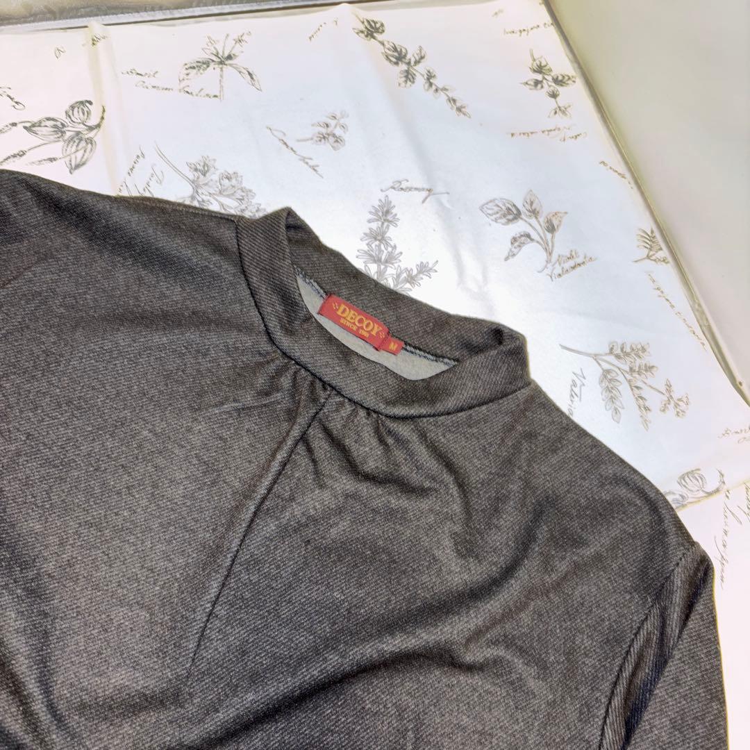 青いスミレ　おまとめ6点