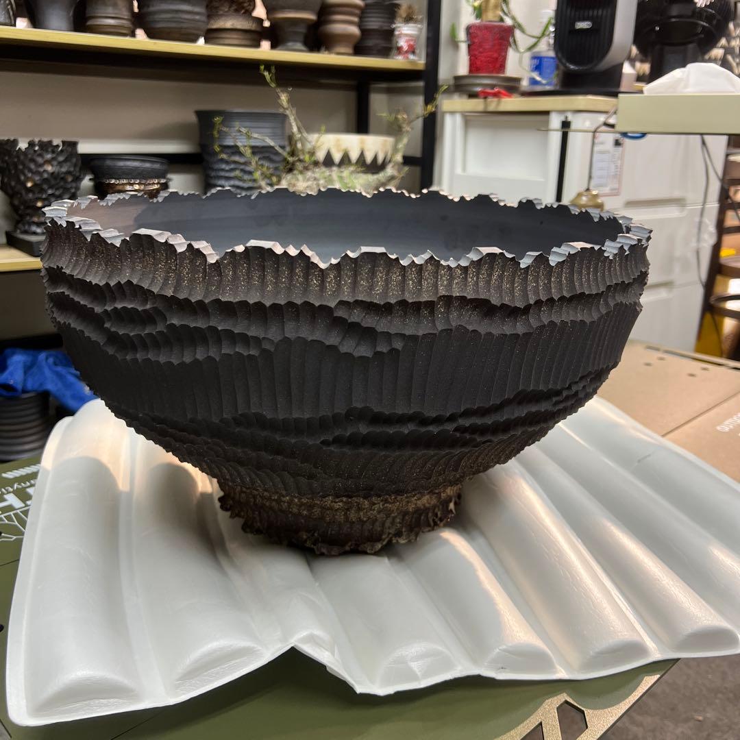 手作植木鉢 特大サイズ 検（ 塊根植物 グラキリス パキプス アガベ)