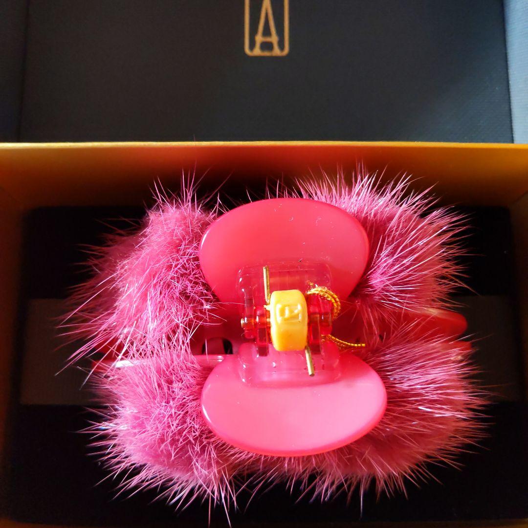 本日限定！アレクサンドルドゥパリ　ヘアクリップ