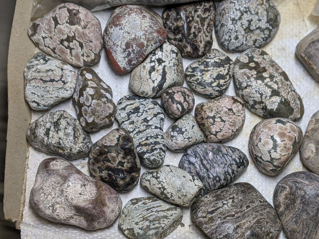 （269）越前海岸の紋石、美石たち③（参考）